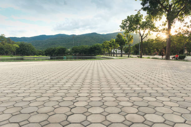 Best Local Driveway Pavers  in Pimlico, SC