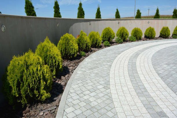 Driveway Repair Near Me in Pimlico, SC